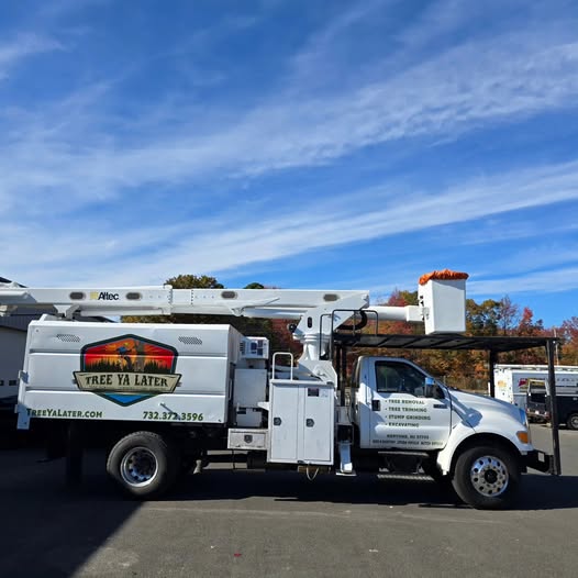 Professional Tree Services in Toms River, NJ: Your Complete Local Guide