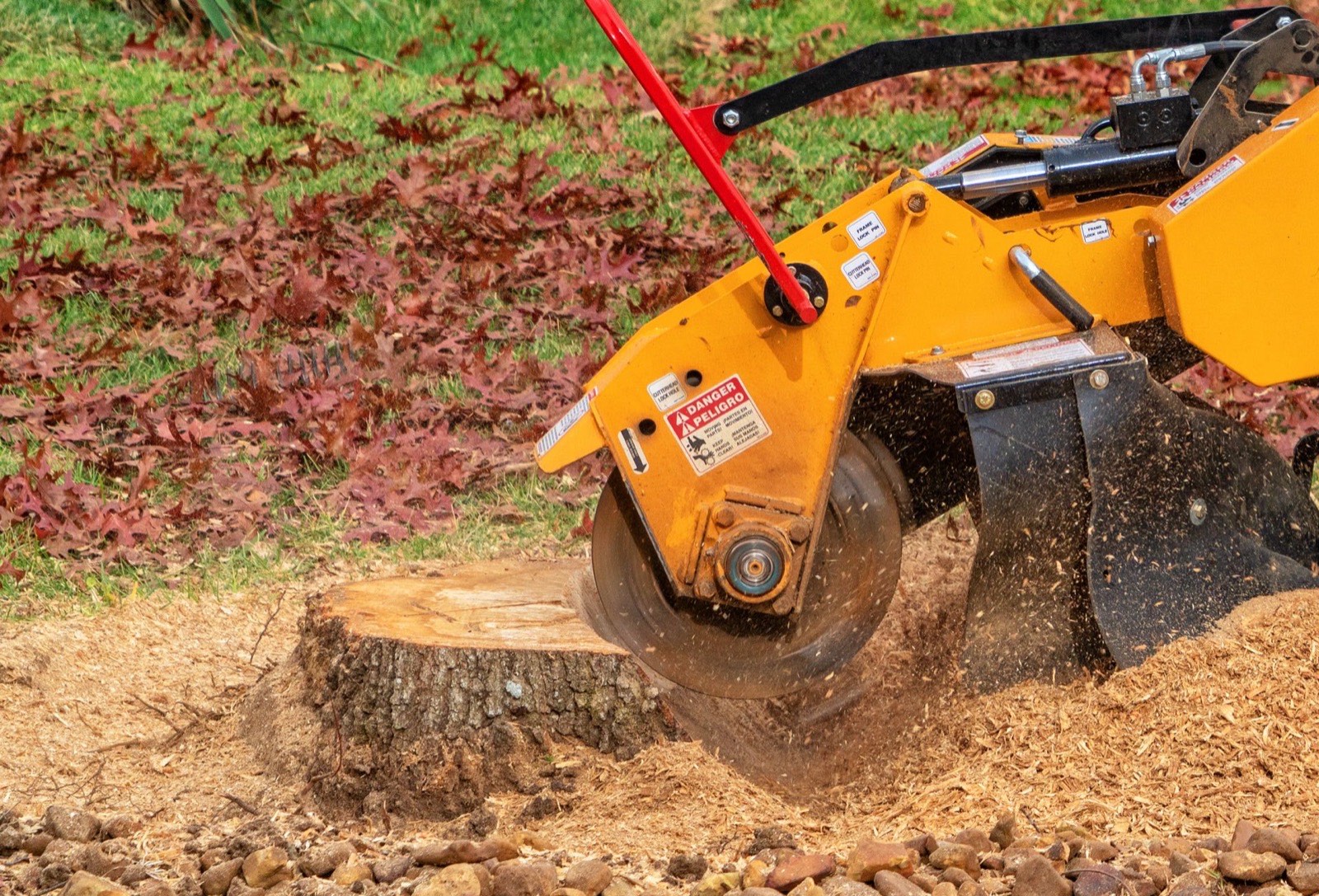 Stump grinder cutting a tree stump down below grade