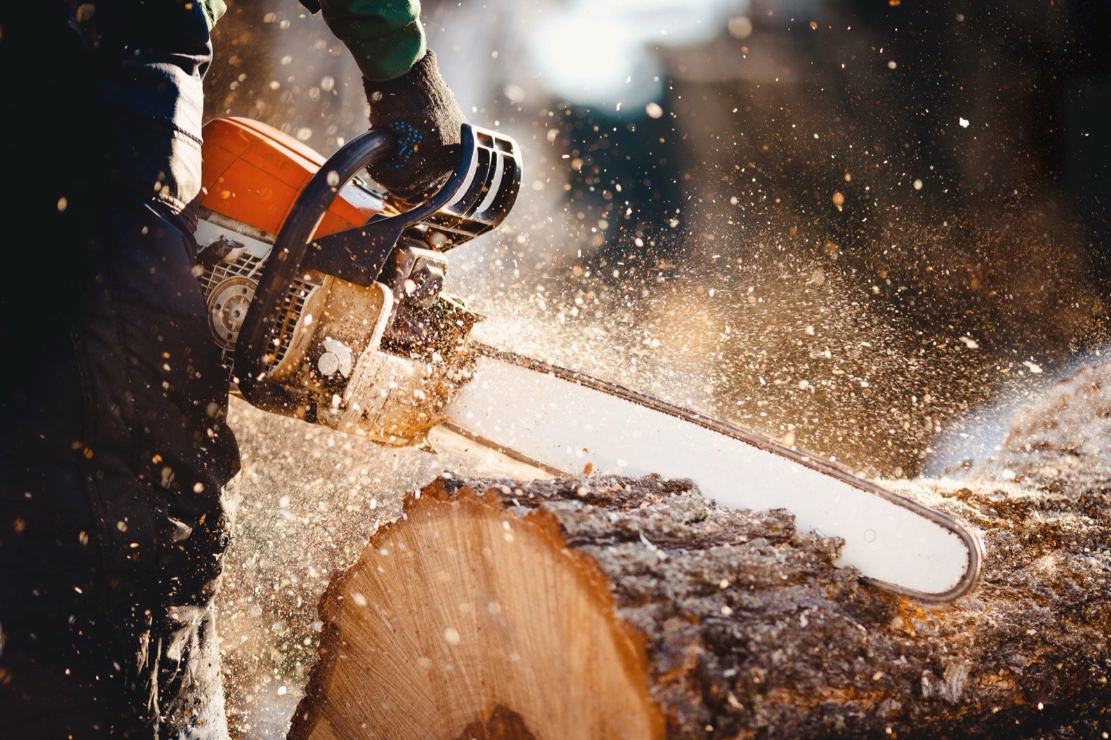 Wood chipper being fed brush during a tree removal