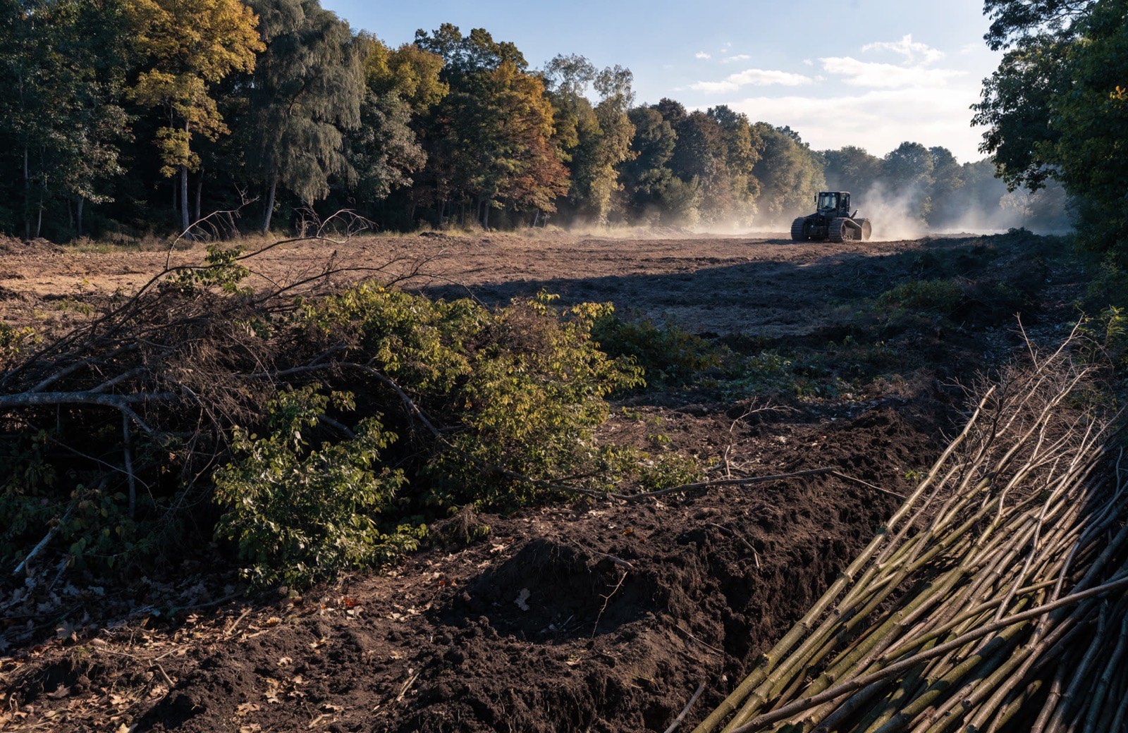 Overgrown wooded lot part-way through being cleared