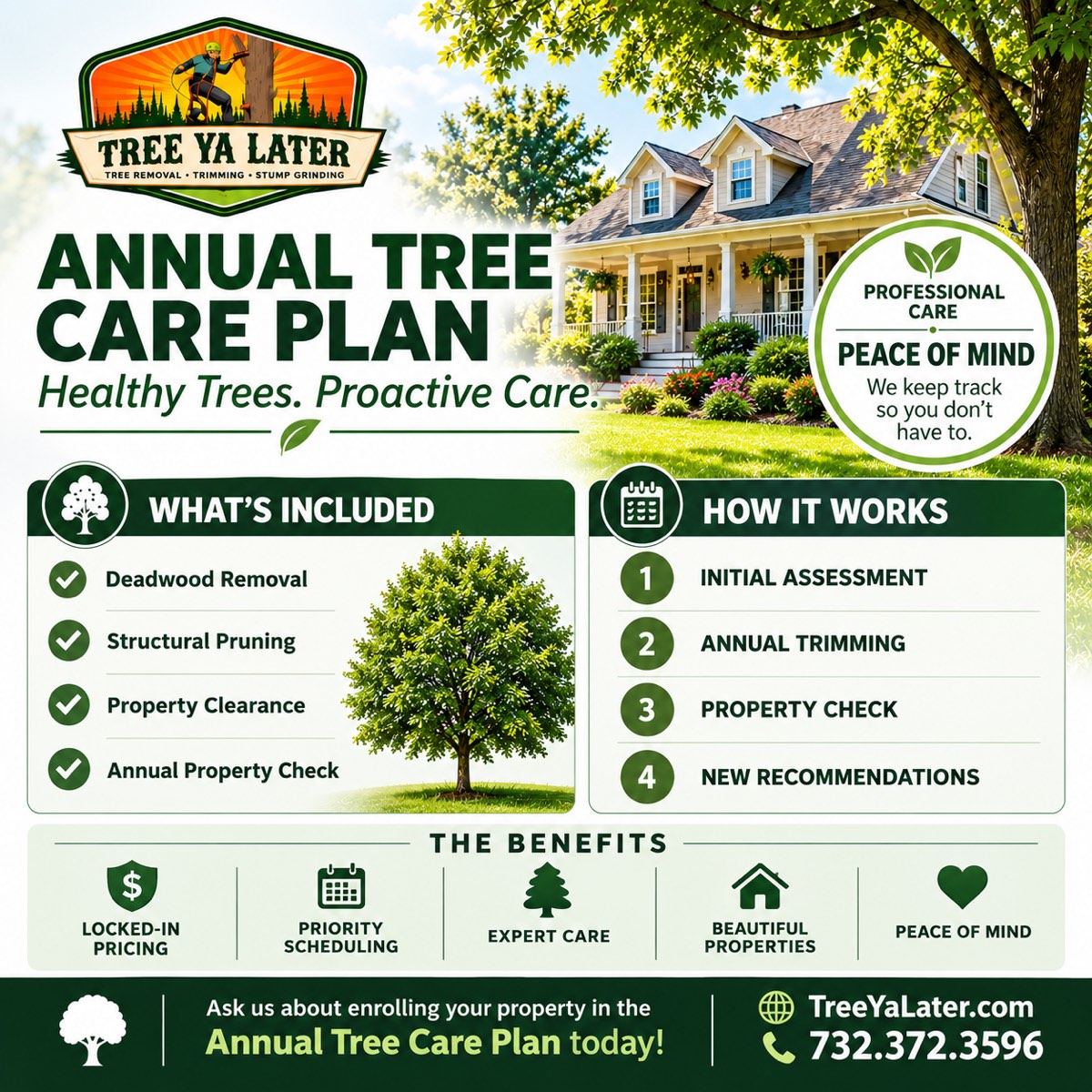 Annual Tree Care Plan flyer: deadwood removal, structural pruning, property clearance and an annual property check